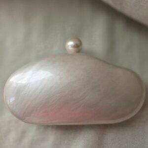 Acrylic Shell Evening Clutch